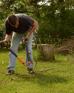 Landscape Projects